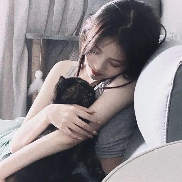 美国派:高潮再起